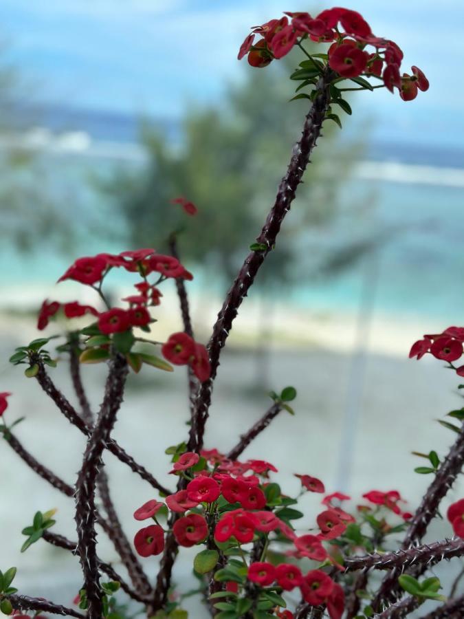 Lazzlla Beach Front Apartments Хулхумале Екстериор снимка